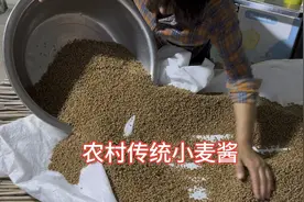 农村传统小麦酱，香甜浓郁，是做酱菜的首选，而且做法简单易学