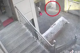 后奶奶对孙子的举动简直让人气愤。视频封面