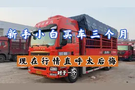 一个新手小白，花眼看30万买台自动挡6.8高栏，几年能回本。视频封面