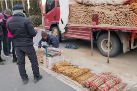 山东大集上的山药价格真是太便宜了，价格惊人！看看多少钱一斤吧视频封面