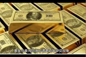 黄金与美元同涨的罕见现象足以说明将有一场席卷世界的风暴视频封面