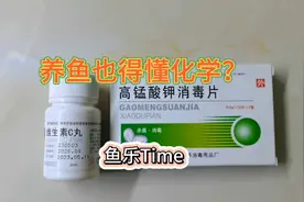 麝香龟得了眼睛发炎治疗，鱼缸消毒，高锰酸钾和维C氧化还原反应