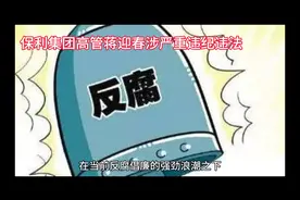 保利集团高管蒋迎春涉严重违纪违法，反腐风暴再掀波澜视频封面