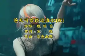 魏佳艺烟嗓女声DJ歌曲精选【動態歌詞】高音质无损【KTV字幕】