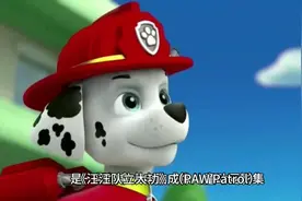 动画片《汪汪队立大功》视频封面