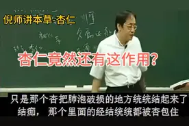 倪海厦讲本草-杏仁，杏仁竟然能修补肺泡？