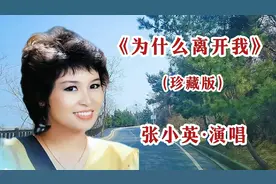 《为什么离开我》张小英、林淑容、邓丽君、李茂山等演唱经典老歌
