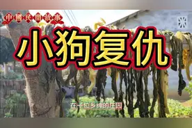 小狗复仇记视频封面