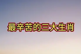 最辛苦的三大生肖视频封面
