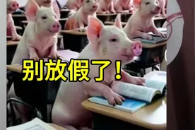 强烈建议小学寒暑假减少到10天！视频封面