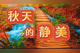 《秋天的静美》感受秋天硕果累累，万物生命轮回的滋味