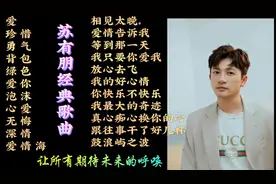 苏有朋经典歌曲22首，歌声嘹亮，悦耳动听，旋律优美，分享聆听。