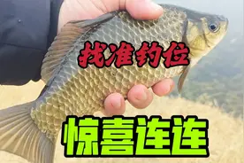 钓鱼总是又惊又喜，大板鲫藏在了小河沟，4米5竿子钓连竿，过瘾！视频封面