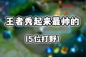 王者秀起来最帅的5位打野