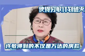 许敏得到的不仅是万达的房款是使得穷敏计划破灭视频封面