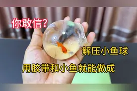 据说：用胶带和小金鱼简单操作一下就能做成解压小鱼球，实测