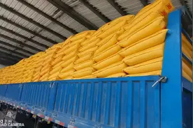 加拿大一号芽豆到货视频封面