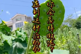 遇到这样的后奶奶，不知道是孙子的不幸，还是父母的过错！视频封面