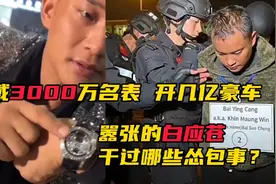 白应苍归案！残害国人让他从天堂坠入地狱，昨日嚣张，今日成笑柄