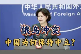 俄乌冲突我们不站队是认真的1288