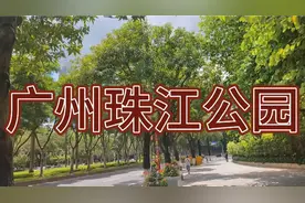 广州珠江公园匆匆一游视频封面