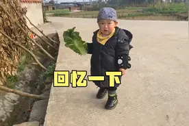 小海豚小时候真的太好玩了，每天都能把我逗得哈哈大笑