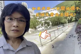 俗語話：民以食為天，众生也不利外，我樓下一群鴿子正為自己銃飢视频封面