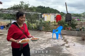 老妈有个传家宝：四川农村老式背带。有了它带娃还能腾出手来干活视频封面