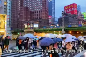 城市之心视频封面