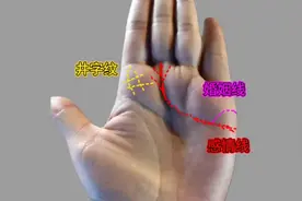 食指下方有井字纹视频封面