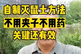 自制灭鼠土方法，不用夹子不用药，关键还有效视频封面