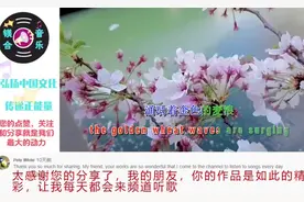 《风吹麦浪》在外网评价有多高？外国网友：绝对是最美妙的歌曲视频封面
