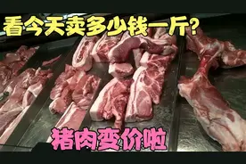 山东猪肉变价啦，今天去超市，看看猪肉卖多少钱一斤？买肉人真多视频封面