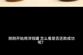 洋钱罐还款视频封面