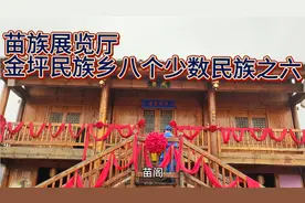 苗族展览厅#金坪民族乡八个少数民族之六#峡江县视频封面