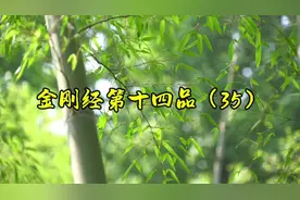 意识的四种分，意识是不可能离四相的，那怎么才能离四相视频封面