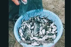 梦见抓鱼是怎么回事——瘦冬瓜解梦#解梦视频封面