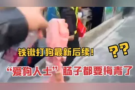 铁锹打狗最新后续！结局大快人心，“爱狗人士们”肠子都要悔青了视频封面