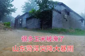 山东菏泽突降大暴雨，路上的水变成河了，太不可思议了