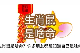 你想知道生肖鼠是啥命视频封面