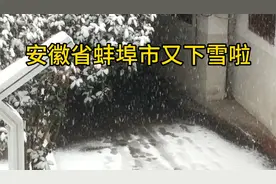 安徽蚌埠又下雪了，一场接着一场，今年的寒冷不断，像哈尔滨一样