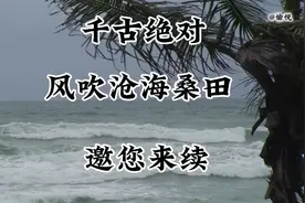 文笔挑战.出句：风吹沧海桑田。请接下句视频封面