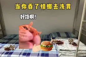 当你不小心吞了蟑螂去洗胃 #猫meme #真实还原 #抽象视频封面