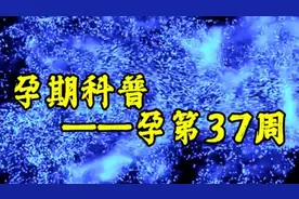 孕期科普 孕第37周宝宝的变化及孕妈妈注意事项及家人的理解包容