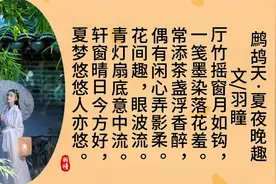 如何进行古诗词创作 《鹧鸪天》词牌平仄格律视频封面