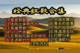 『经典红歌合集』DJ纯音乐13首串烧