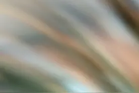 真人096视频封面