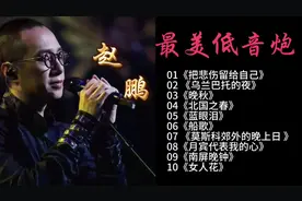 赵鹏 ～最美低音炮 10首经典歌曲合集