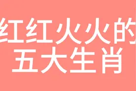 红红火火的五大生肖视频封面