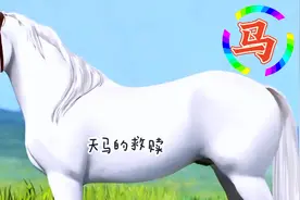 生肖第七位马，激情奔放，争当第一，头脑灵活，易冲动，半途而废